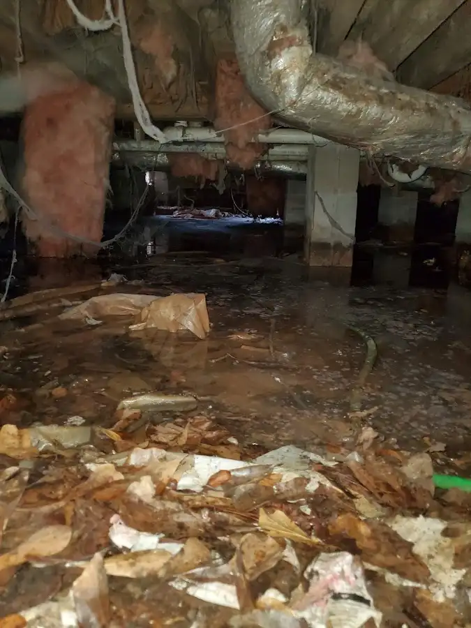 Crawl space flood assessment for Commercial Water Damage Restoration in Brookhaven